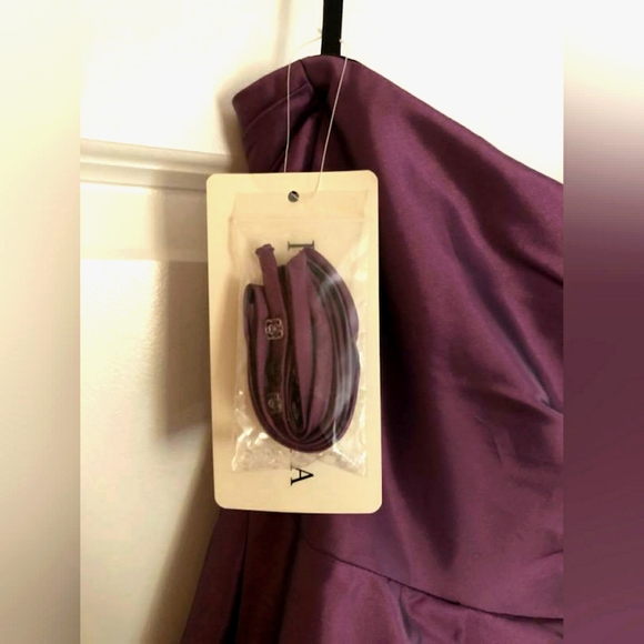 Priscilla's of Boston Evening Gown. Blackberry size 16 NWT - Picture 4 of 6